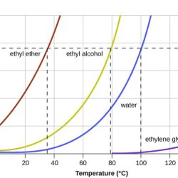 Vapor worksheet pressures solutions libretexts pressure