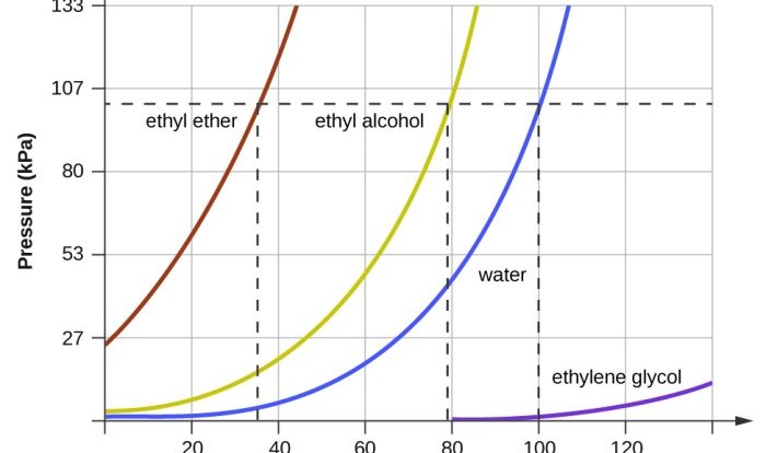 Vapor worksheet pressures solutions libretexts pressure