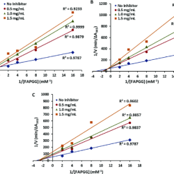 Enzyme lineweaver inhibition competitive noncompetitive kinetics non burk inhibitors biology plot inhibitor km uncompetitive substrate enzymes lb linear michaelis menten