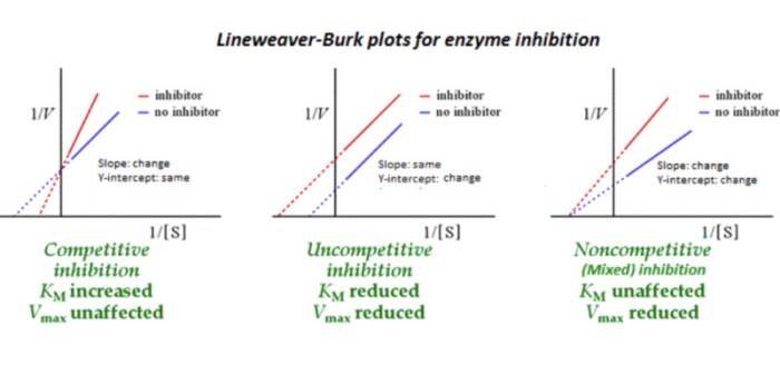 Competitive inhibitor lineweaver burk plot