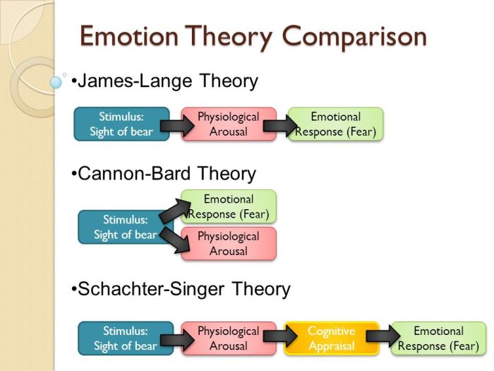 Ap psych theories of emotion