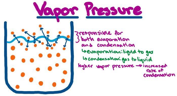 Vapor pressure and boiling worksheet