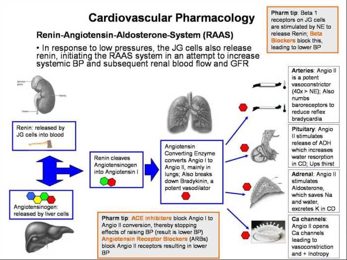 Relias rn pharmacology assessment a answers