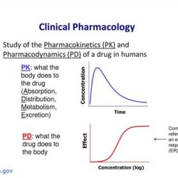 Relias rn pharmacology assessment a answers