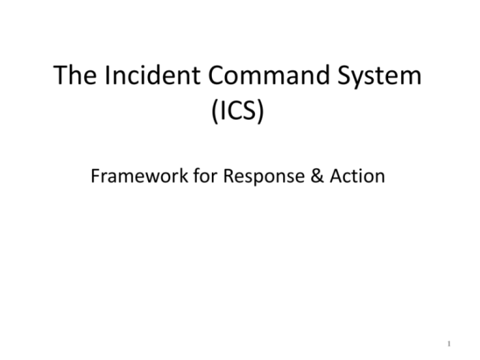 Incident command system management services training