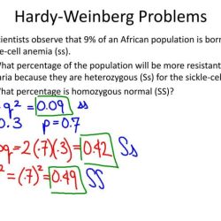 Hardy weinberg practice problems answer key with work