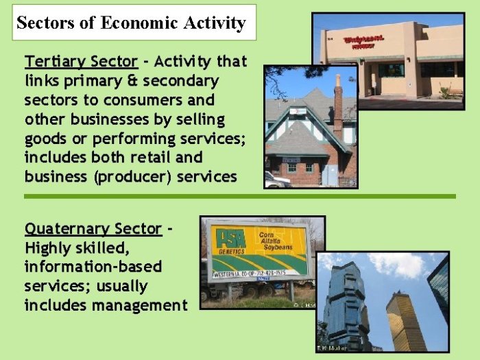 Economic economics characteristics